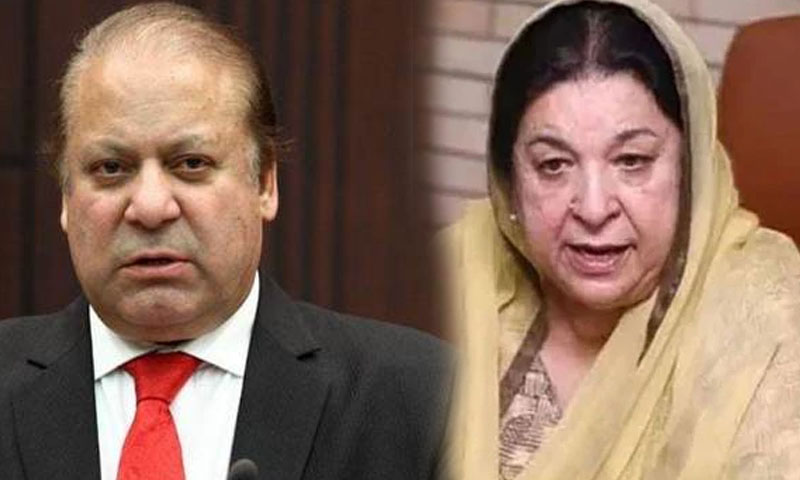 یاسمین راشد