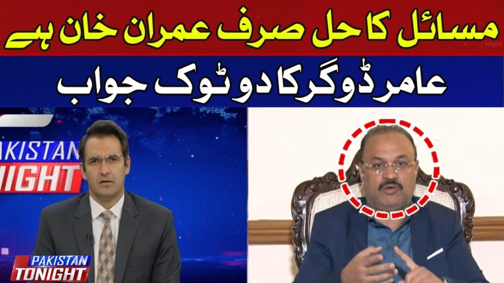 مسائل کا حل صرف عمران خان ہے، عامر ڈوگر