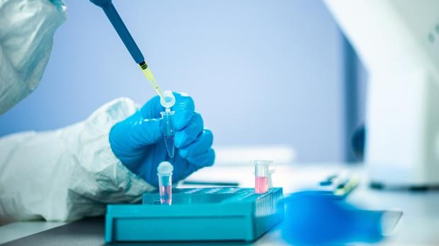 چینی سائنس دانوں نے ہڈیوں کی نس میں زخم کا نیا علاج تیار کر لیا china