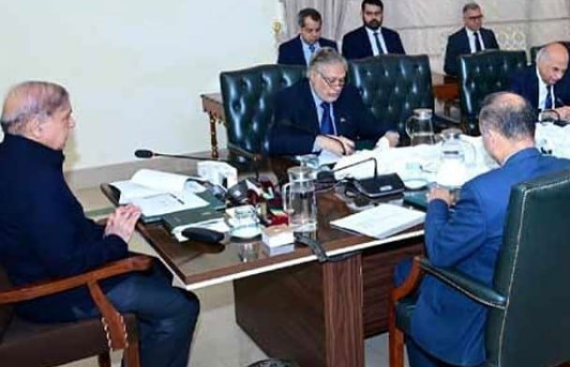 انکوائری کمیشن (inquiry commission)