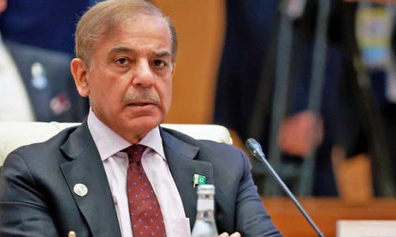 ای سی ایل کمیٹی کی تشکیل نو، سربراہ وزیراعظم ہوں گے Shahbaz Sharif