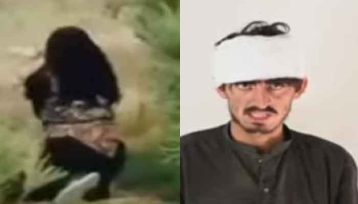 پشین حملے کی منصوبہ بندی افغانستان میں ہوئی ، طالبان نے مدد فراہم کی ، گرفتار دہشتگرد کا اعتراف افغان دہشتگرد (afghan terrorist)