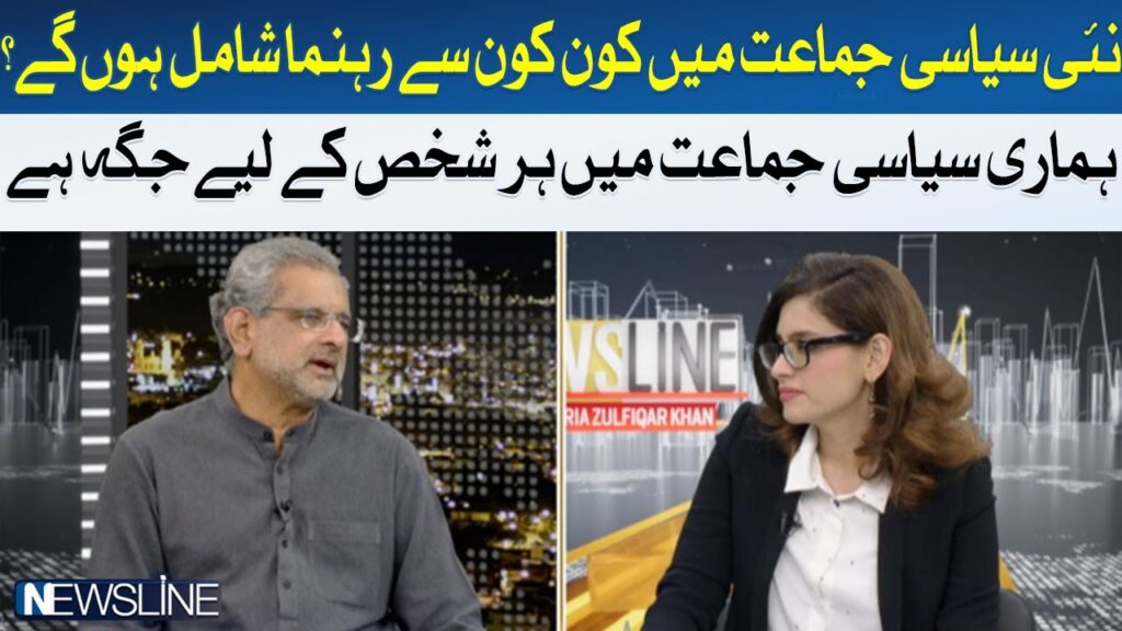 ہماری سیاسی جماعت میں ہر شخص کیلئے جگہ ہے، شاہد خاقان عباسی