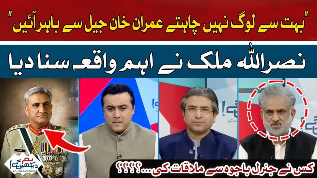 بہت سے لوگ نہیں چاہتے عمران خان جیل سے باہر آئیں ، نصراللہ ملک