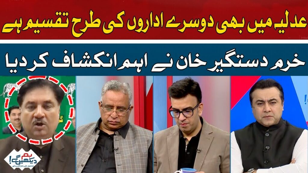 عدلیہ میں بھی دوسرے اداروں کی طرح تقسیم ہے، خرم دستگیر