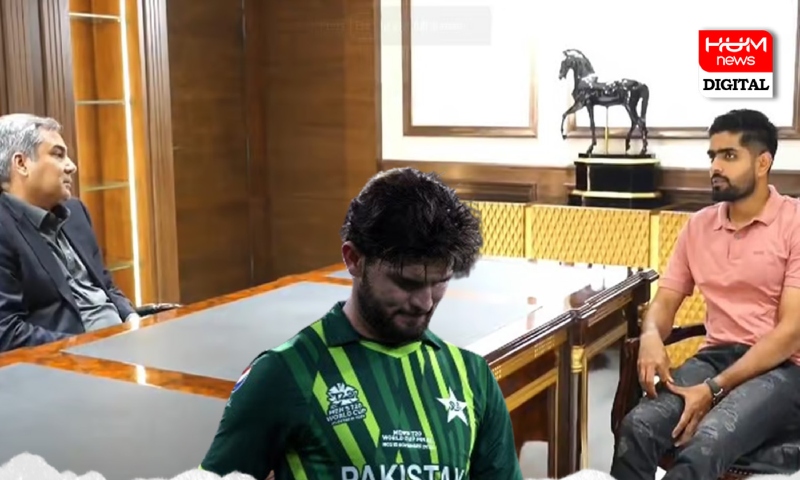 شاہین آفریدی