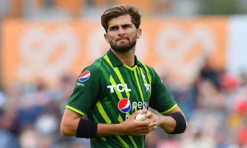 شاہین شاہ آفریدی