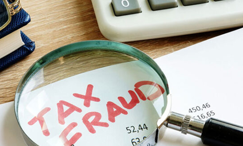 tax fraud