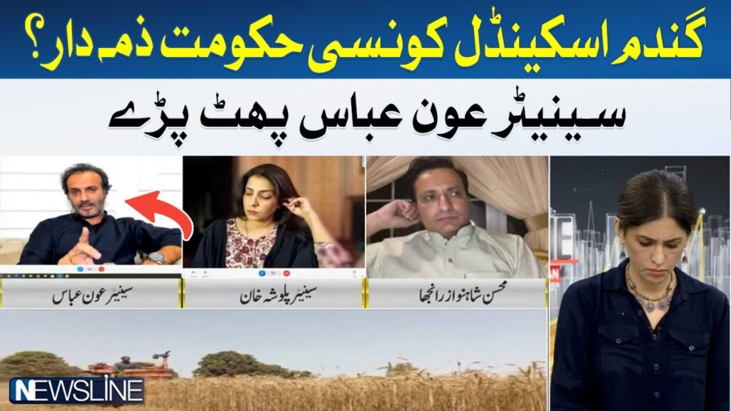گندم سیکنڈل ، سینیٹر عون عباس پھٹ پڑے