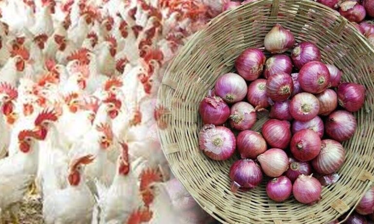 مرغی کی قیمت میں اضافہ، پیاز مزید سستے