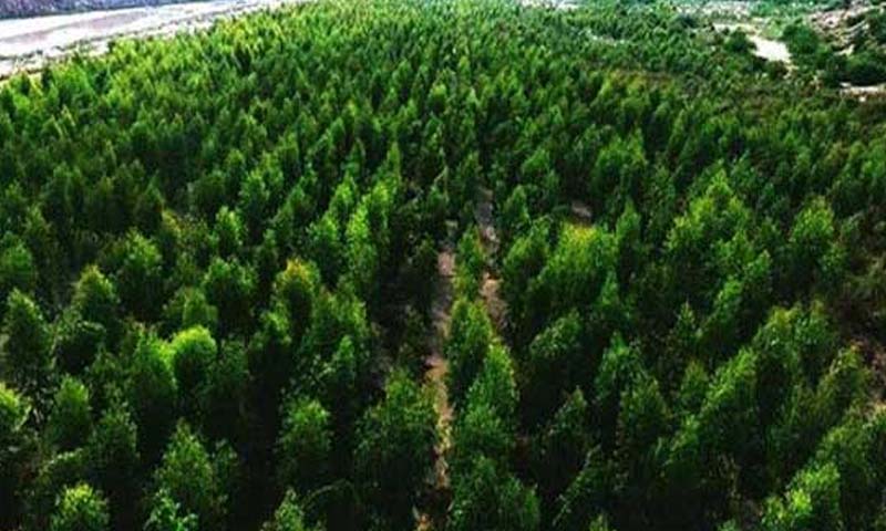 سونامی پلس kpk