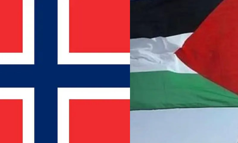 فلسطین تسلیم