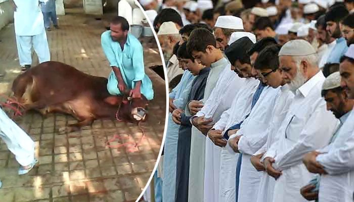 عیدالاضحیٰ