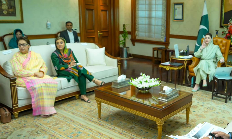 مریم نواز نے پنجاب اسکول ری آرگنائزیشن پروگرام کی منظوری دیدی مریم نواز