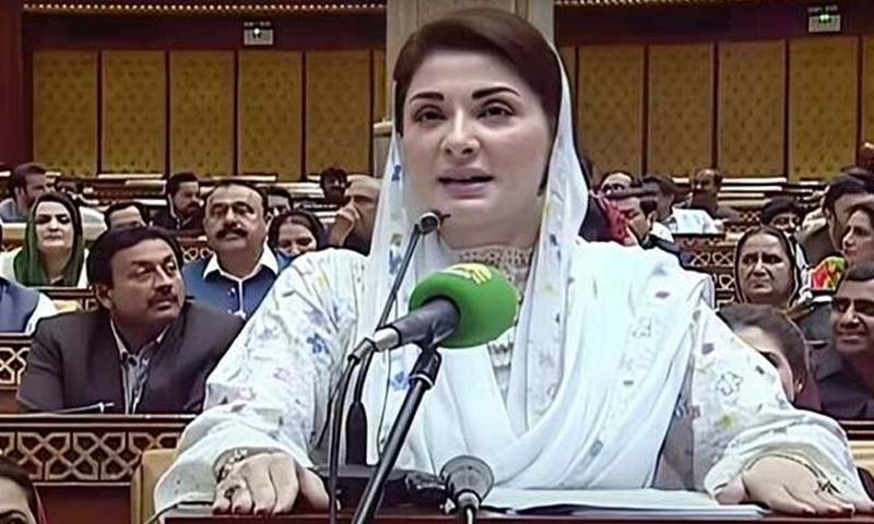 وزیراعلیٰ پنجاب