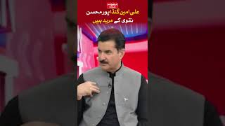 Ali Amin Gandapur is a follower of Mohsin Naqvi. Governor KP Faisal Karim Kundi