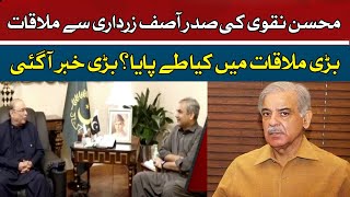 Mohsin Naqvi meeting with President Asif Zardari | Hum News