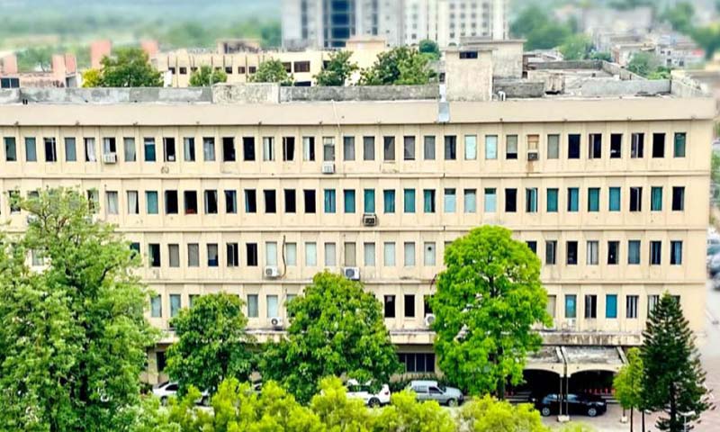 پی ڈبلیو ڈی pwd