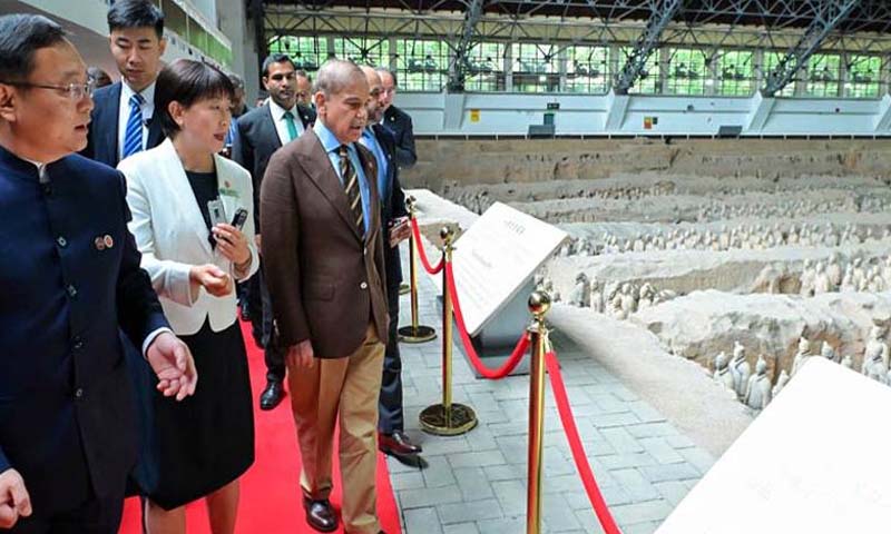 وزیراعظم shahbaz sharif