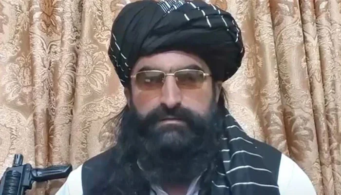 نور ولی محسود