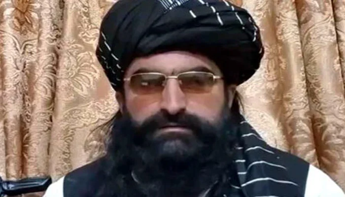 نور ولی محسود