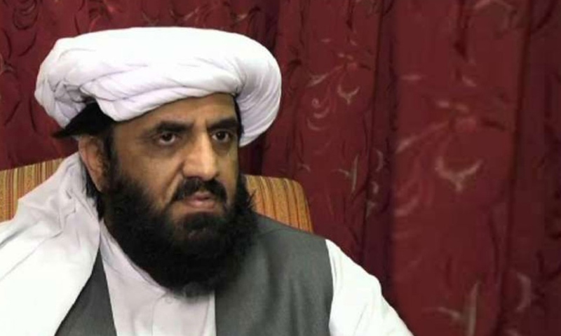 حافظ حمد اللّٰہ