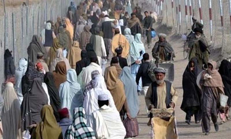 افغان شہریوں