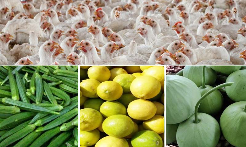 مرغی کا گوشت سستا