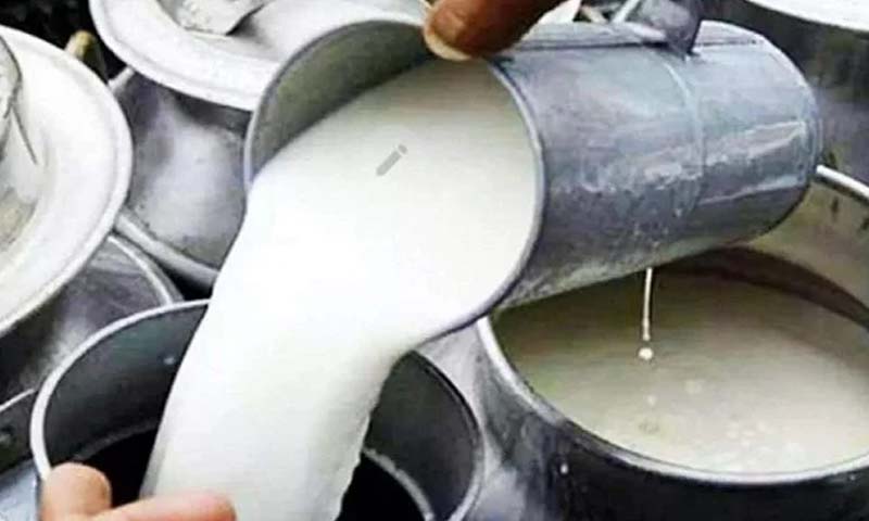 دودھ کی قیمت