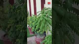 Rain continues in Peshawar