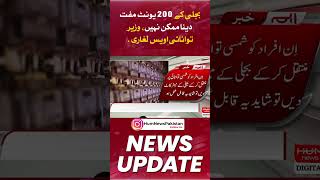 It is not possible to give 200 units of electricity for free, Energy Minister Owais Leghari.