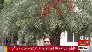 Live: PM Shehbaz Media Talk | Breaking News | Hum News
