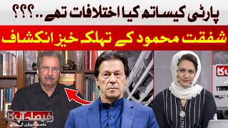What are the differences with Shafqat Mahmood's party? | Hum News