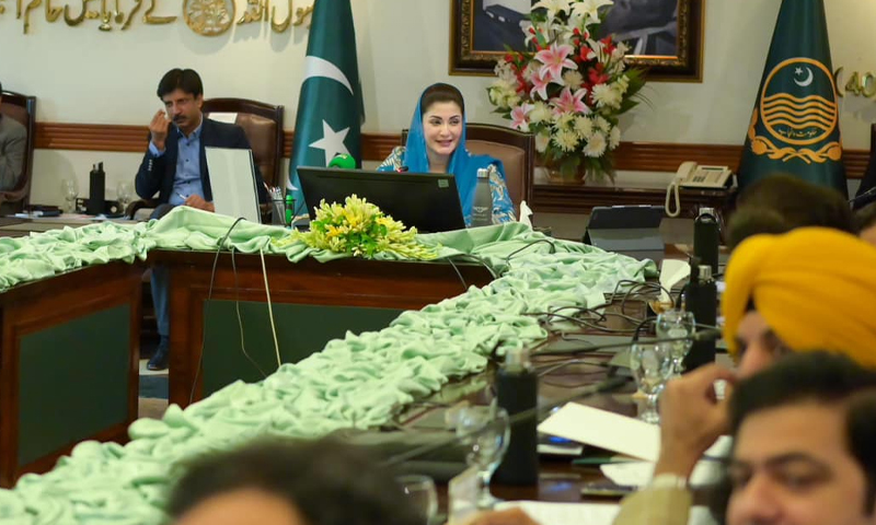 پنجاب کابینہ