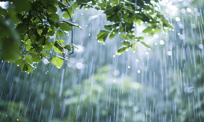 موسلادھار بارش