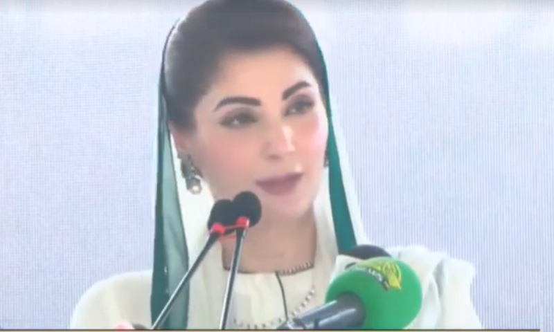 وزیراعلیٰ پنجاب