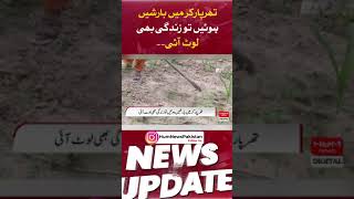 Life returns to Tharparkar after heavy spells of rain | Tharparkar |