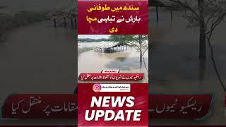 Heavy rain in lower Sindh stokes fears of urban flooding