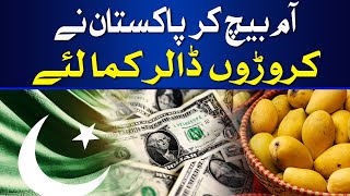 Pakistan earned millions of dollars by selling mangoes