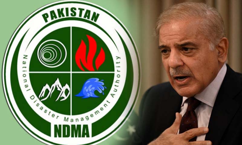 این ڈی ایم اے