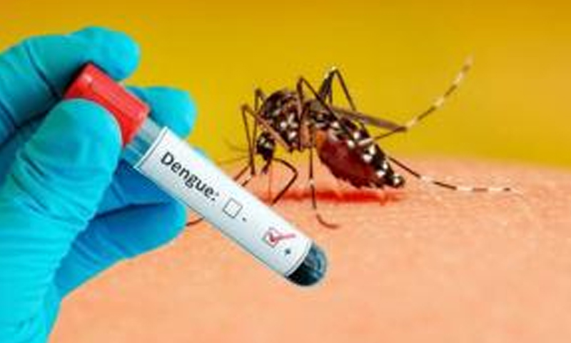 لاہور سمیت پنجاب بھر میں ڈینگی کے کیسز میں اضافہ