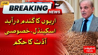 Auditor General Orders Special Audit of Rs300bn Wheat Scam | Latest Updates | HUM News