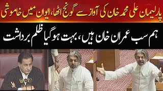 Ali Muhammad Khan Lash Out At Parliament On PTI Leader Arrest | Hum News