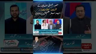 What did Maulana ask for? Mansoor Ali Khan Tough Question Make Everyone Speechless | Hum News