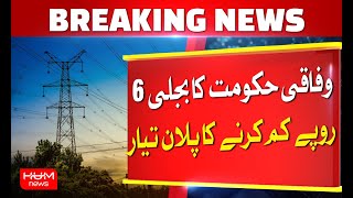 The federal government's plan to reduce electricity by Rs.6 is ready | Hum News