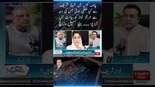 What was the mistake of Shahbaz Sharif in Panama case,due to which Maryam Nawaz come into politics?