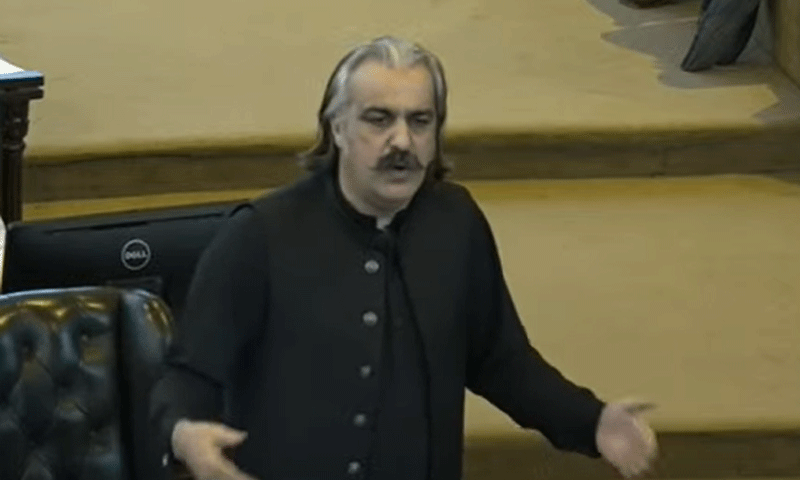 Ali Ameen Gandapur