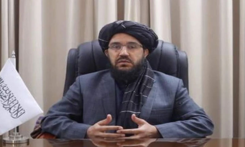 پاکستان میں کچھ عناصر دراندازی کرتے ہیں لیکن یہ ہماری پالیسی نہیں، افغانستان Afghanistan