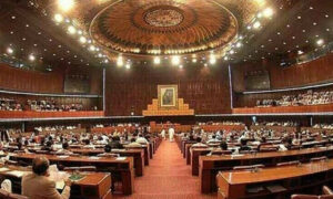 قومی اسمبلی کے دوسرے پارلیمانی سال کی کارکردگی رپورٹ جاری
