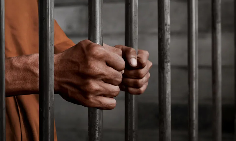 دنیا بھر کے مختلف ممالک میں 23ہزار 456 پاکستانی جیلوں میں قید ہیں، تفصیلات سینٹ میں پیش پاکستانی